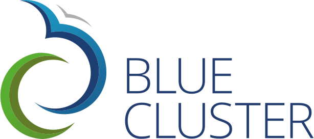 logo Blue Cluster