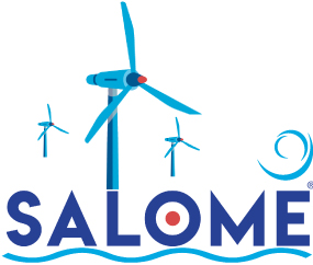 SALOME | Dynamic Monitoring of Offshore Wind Turbines